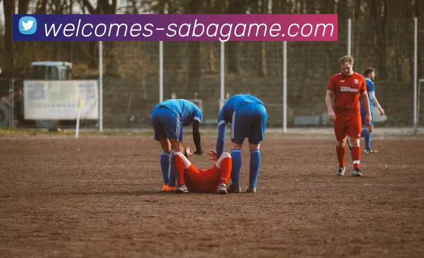 沙巴官网服务体系